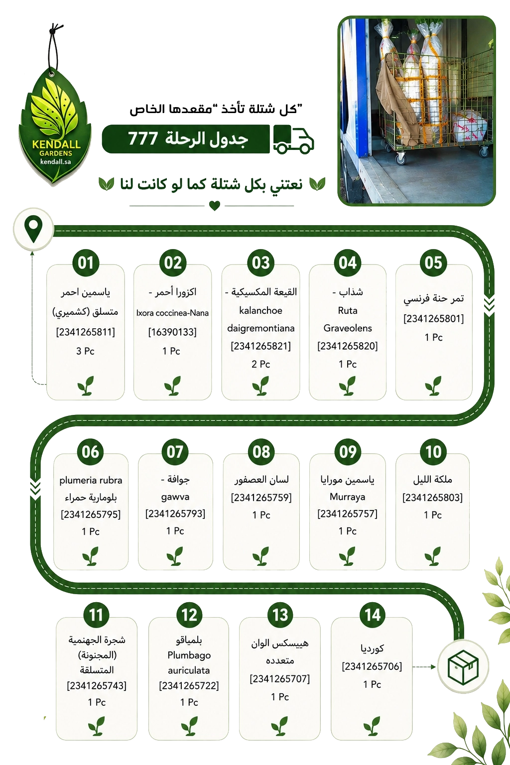 تجهيز وشحن الشتلات