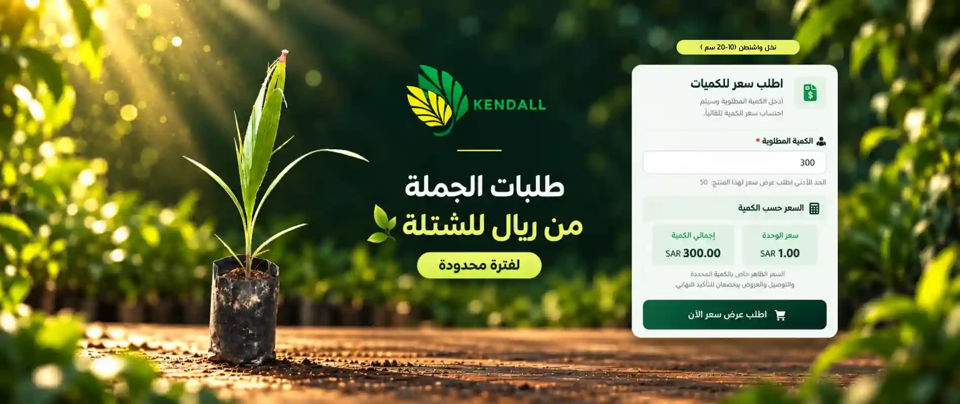 نخل واشنطن