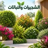 الشجيرات والنباتات