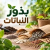 بذور النباتات