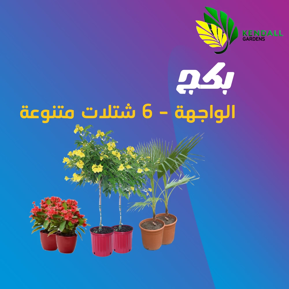  شتلات متنوعة