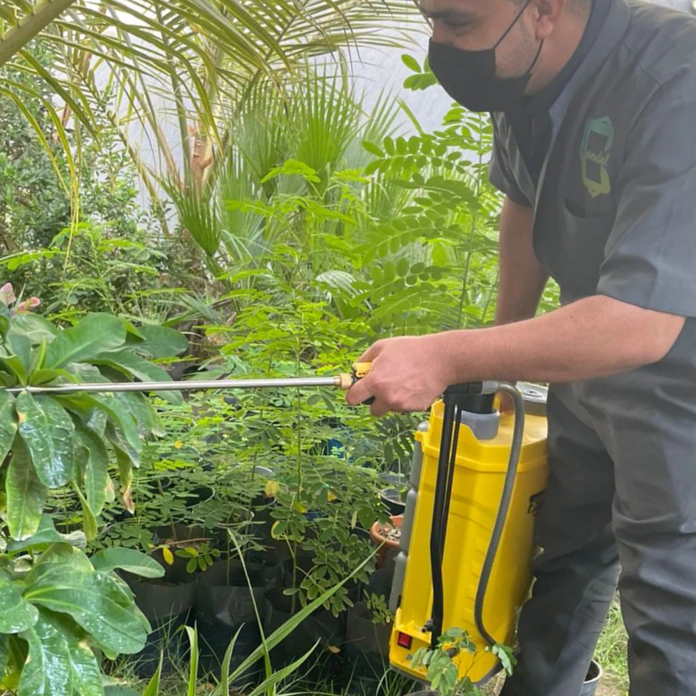  مكافحة حشرات