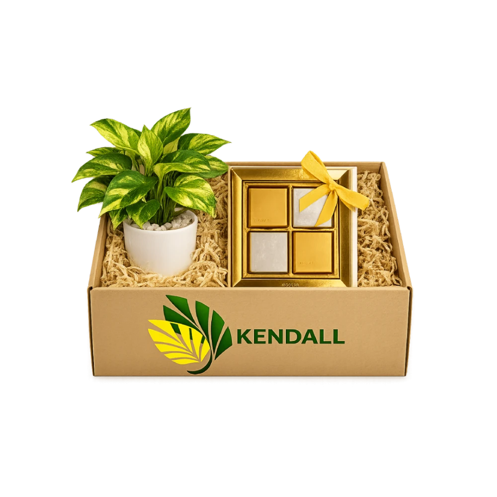  هدية شهر الخير بوتس مع شوكولاتة بستاني 