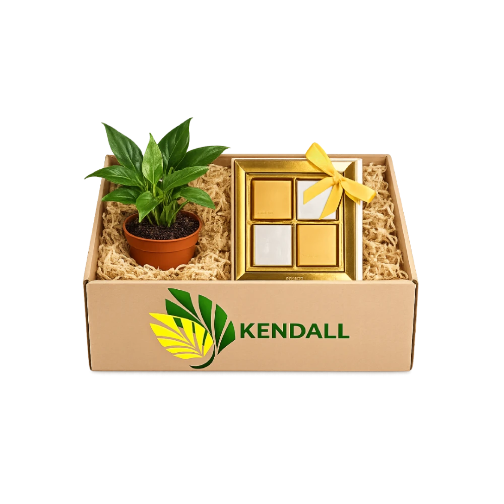  هدية شهر الخير زنبق السلام مع شوكولاتة بستاني 