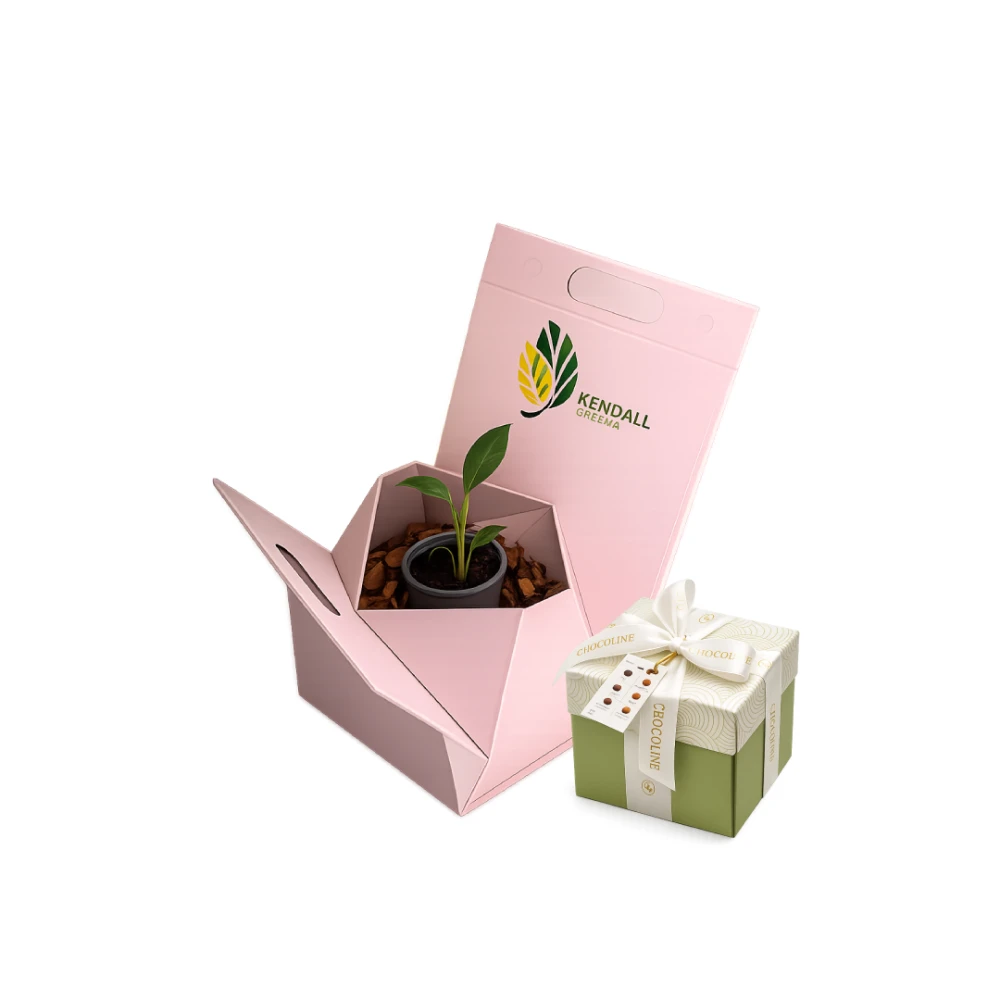 بوكس شوكولاتة فاخر مع نبتة زنبق السلام الأنيقة