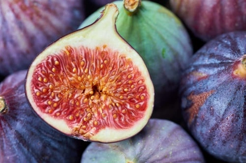 تين مثمر طائفي