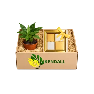 هدية شهر الخير زنبق السلام مع شوكولاتة بستاني