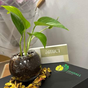 بوكس هدية شهر الخير بوتس مع شوكولاتة Amici فاخر