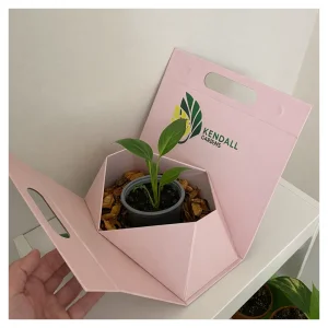 بوكس شوكولاتة فاخر مع نبتة زنبق السلام الأنيقة