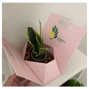 هدية فاخرة: بوكس شوكولاتة Chocoline مع نبتة جلد النمر