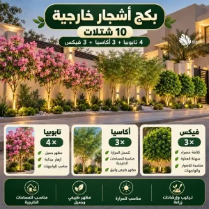 أشجار خارجية
